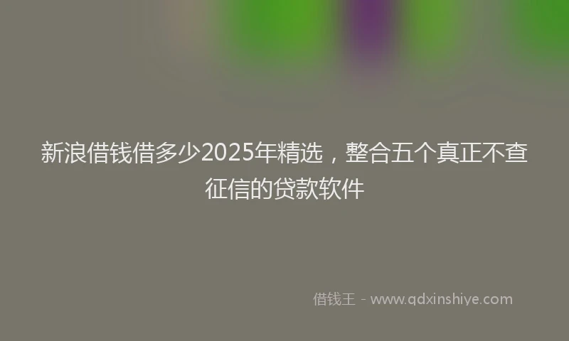 新浪借钱借多少2025年精选，整合五个真正不查征信的贷款软件