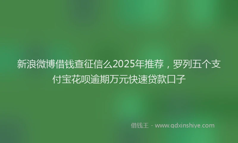 新浪微博借钱查征信么2025年推荐，罗列五个支付宝花呗逾期万元快速贷款口子