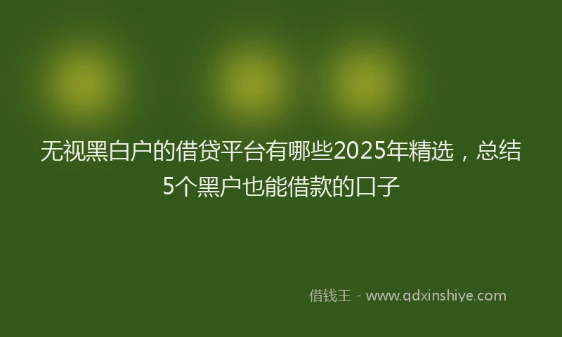 无视黑白户的借贷平台有哪些2025年精选，总结5个黑户也能借款的口子