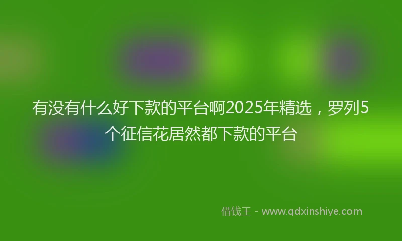 有没有什么好下款的平台啊2025年精选，罗列5个征信花居然都下款的平台