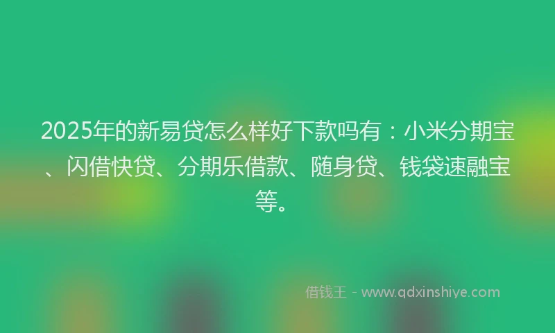 2025年的新易贷怎么样好下款吗有：小米分期宝、闪借快贷、分期乐借款、随身贷、钱袋速融宝等。