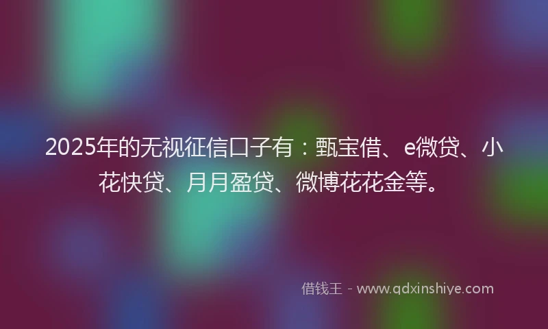 2025年的无视征信口子有：甄宝借、e微贷、小花快贷、月月盈贷、微博花花金等。