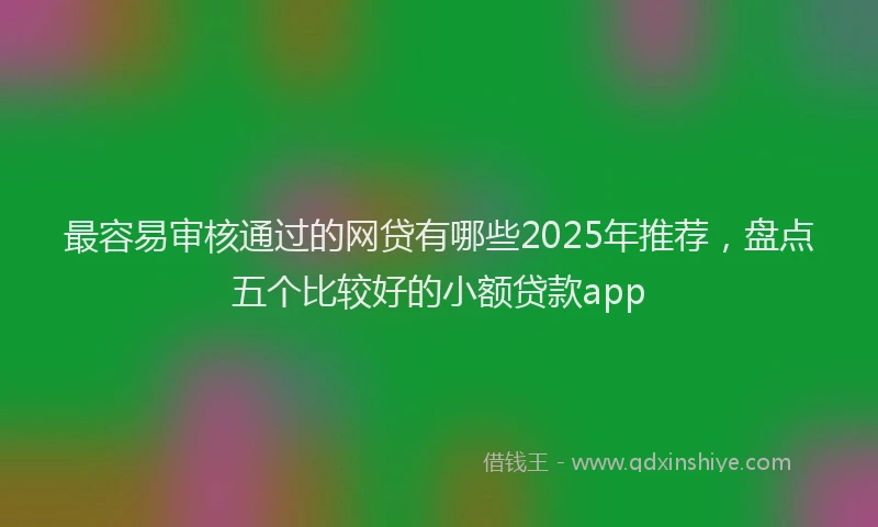 最容易审核通过的网贷有哪些2025年推荐，盘点五个比较好的小额贷款app