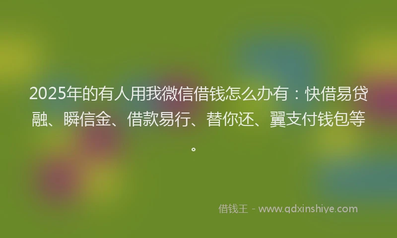 2025年的有人用我微信借钱怎么办有：快借易贷融、瞬信金、借款易行、替你还、翼支付钱包等。