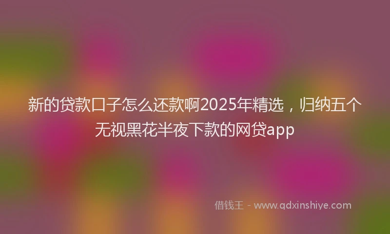 新的贷款口子怎么还款啊2025年精选，归纳五个无视黑花半夜下款的网贷app