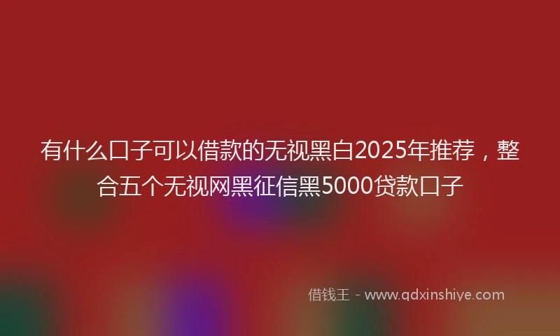 有什么口子可以借款的无视黑白2025年推荐，整合五个无视网黑征信黑5000贷款口子