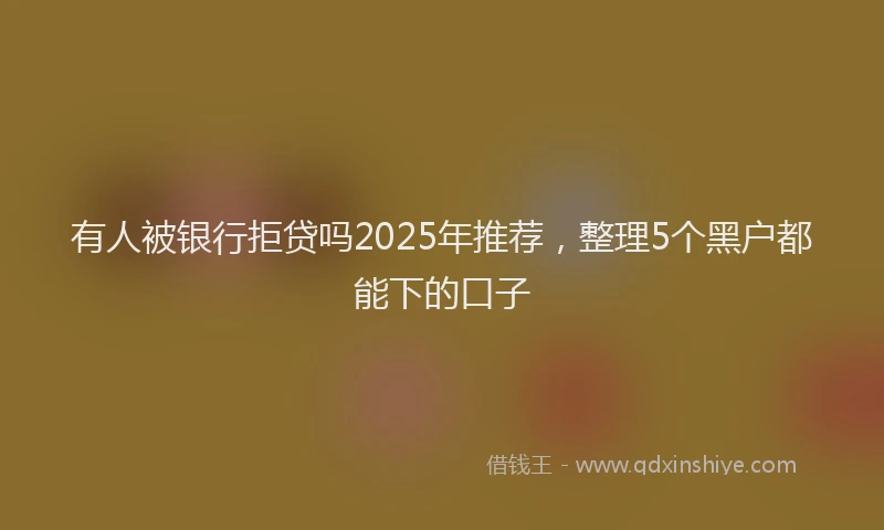 有人被银行拒贷吗2025年推荐，整理5个黑户都能下的口子