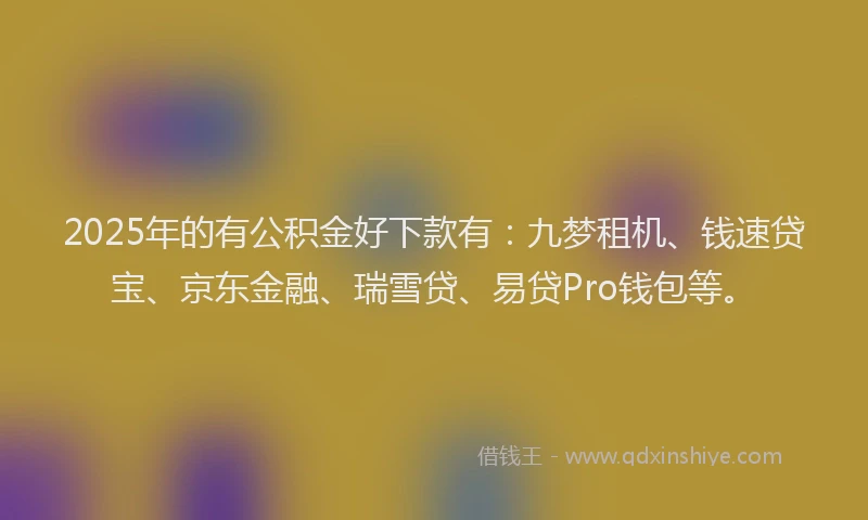 2025年的有公积金好下款有：九梦租机、钱速贷宝、京东金融、瑞雪贷、易贷Pro钱包等。