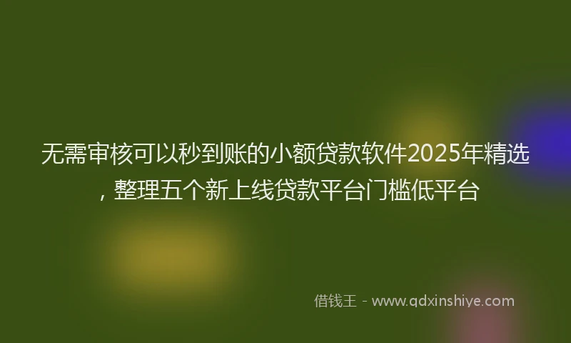 无需审核可以秒到账的小额贷款软件2025年精选，整理五个新上线贷款平台门槛低平台