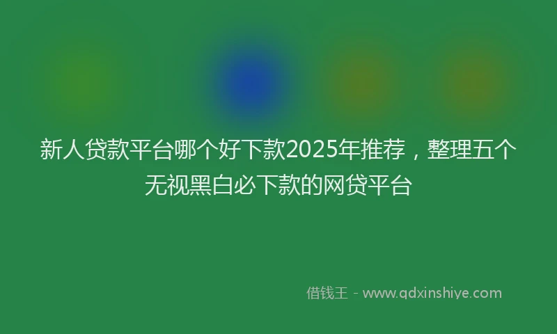 新人贷款平台哪个好下款2025年推荐，整理五个无视黑白必下款的网贷平台