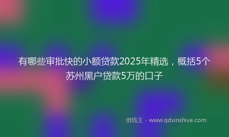 有哪些审批快的小额贷款2025年精选，概括5个苏州黑户贷款5万的口子