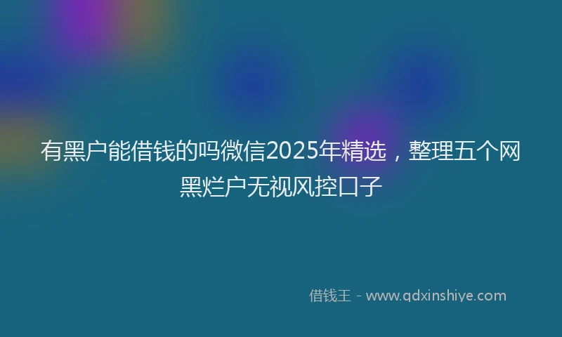 有黑户能借钱的吗微信2025年精选，整理五个网黑烂户无视风控口子