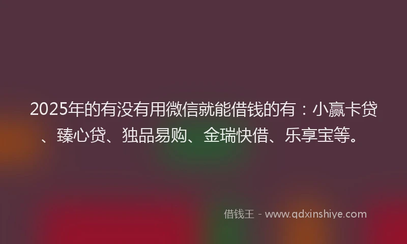 2025年的有没有用微信就能借钱的有：小赢卡贷、臻心贷、独品易购、金瑞快借、乐享宝等。