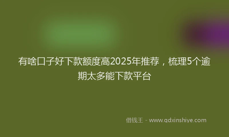 有啥口子好下款额度高2025年推荐，梳理5个逾期太多能下款平台