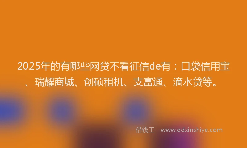 2025年的有哪些网贷不看征信de有：口袋信用宝、瑞耀商城、创硕租机、支富通、滴水贷等。