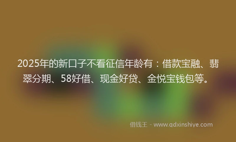 2025年的新口子不看征信年龄有：借款宝融、翡翠分期、58好借、现金好贷、金悦宝钱包等。
