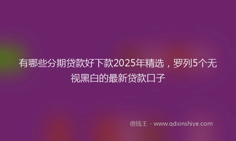 有哪些分期贷款好下款2025年精选，罗列5个无视黑白的最新贷款口子