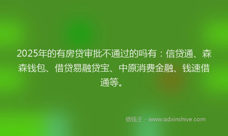 2025年的有房贷审批不通过的吗有：信贷通、森森钱包、借贷易融贷宝、中原消费金融、钱速借通等。