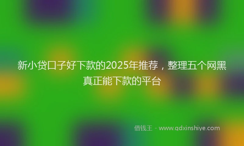 新小贷口子好下款的2025年推荐，整理五个网黑真正能下款的平台