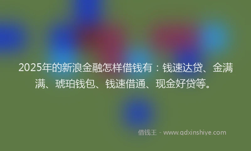 2025年的新浪金融怎样借钱有：钱速达贷、金满满、琥珀钱包、钱速借通、现金好贷等。