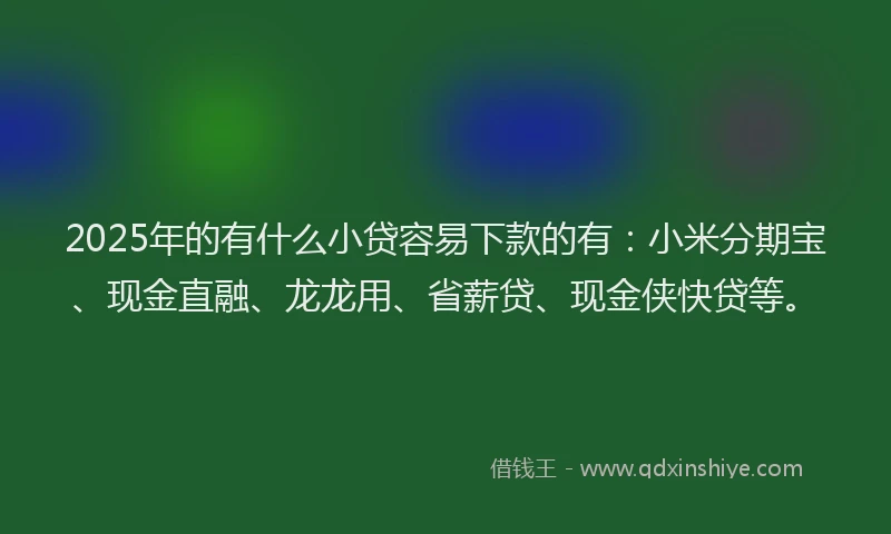 2025年的有什么小贷容易下款的有：小米分期宝、现金直融、龙龙用、省薪贷、现金侠快贷等。