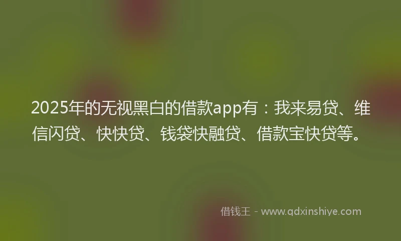 2025年的无视黑白的借款app有：我来易贷、维信闪贷、快快贷、钱袋快融贷、借款宝快贷等。