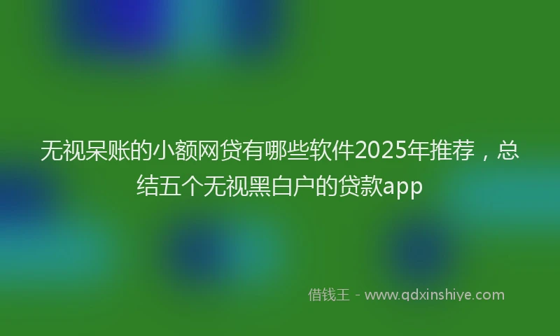 无视呆账的小额网贷有哪些软件2025年推荐，总结五个无视黑白户的贷款app