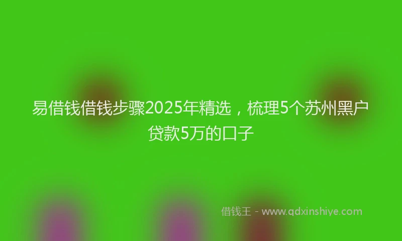 易借钱借钱步骤2025年精选，梳理5个苏州黑户贷款5万的口子