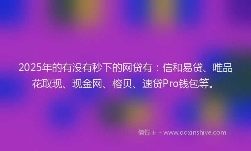 2025年的有没有秒下的网贷有：信和易贷、唯品花取现、现金网、榕贝、速贷Pro钱包等。