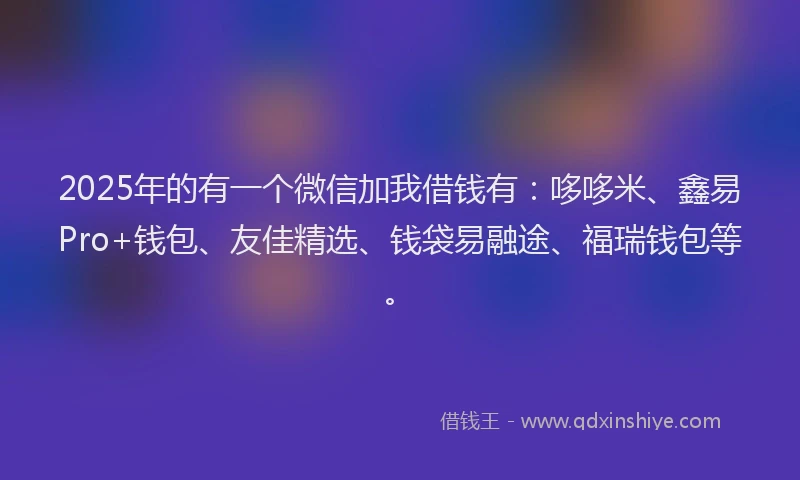 2025年的有一个微信加我借钱有：哆哆米、鑫易Pro+钱包、友佳精选、钱袋易融途、福瑞钱包等。