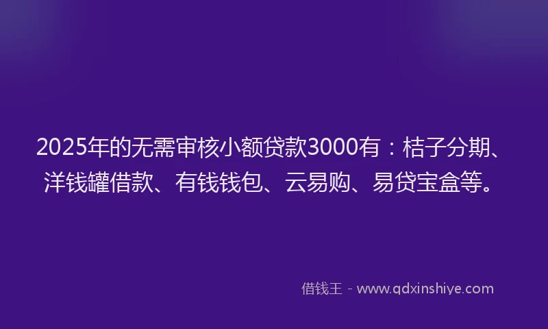 2025年的无需审核小额贷款3000有：桔子分期、洋钱罐借款、有钱钱包、云易购、易贷宝盒等。