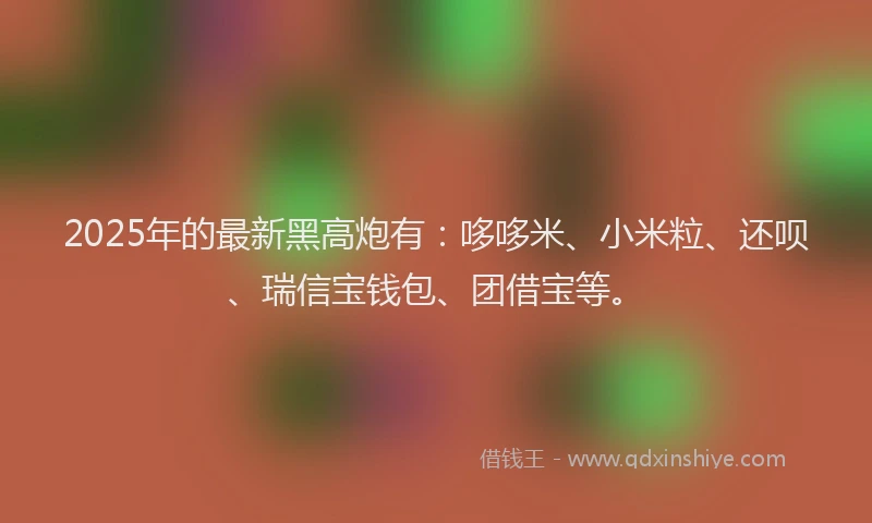 2025年的最新黑高炮有：哆哆米、小米粒、还呗、瑞信宝钱包、团借宝等。