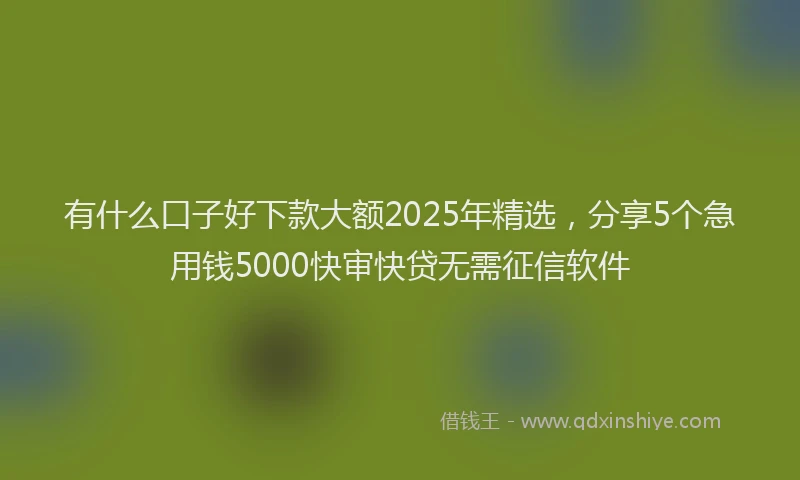 有什么口子好下款大额2025年精选，分享5个急用钱5000快审快贷无需征信软件