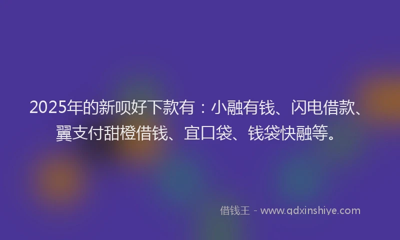 2025年的新呗好下款有：小融有钱、闪电借款、翼支付甜橙借钱、宜口袋、钱袋快融等。