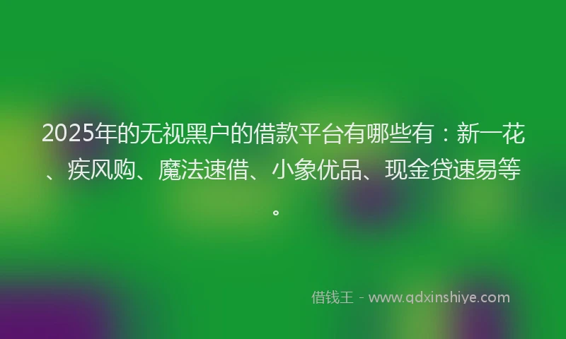 2025年的无视黑户的借款平台有哪些有：新一花、疾风购、魔法速借、小象优品、现金贷速易等。