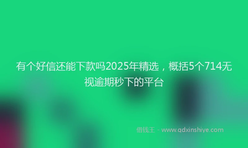 有个好信还能下款吗2025年精选，概括5个714无视逾期秒下的平台