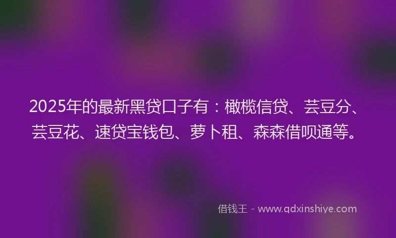 2025年的最新黑贷口子有：橄榄信贷、芸豆分、芸豆花、速贷宝钱包、萝卜租、森森借呗通等。