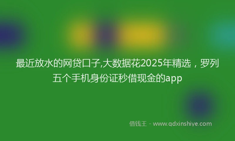 最近放水的网贷口子,大数据花2025年精选，罗列五个手机身份证秒借现金的app