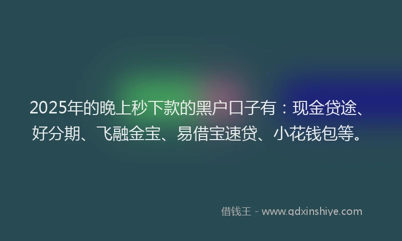 2025年的晚上秒下款的黑户口子有：现金贷途、好分期、飞融金宝、易借宝速贷、小花钱包等。