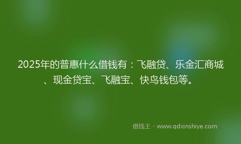 2025年的普惠什么借钱有：飞融贷、乐金汇商城、现金贷宝、飞融宝、快鸟钱包等。