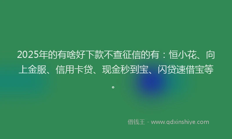 2025年的有啥好下款不查征信的有：恒小花、向上金服、信用卡贷、现金秒到宝、闪贷速借宝等。