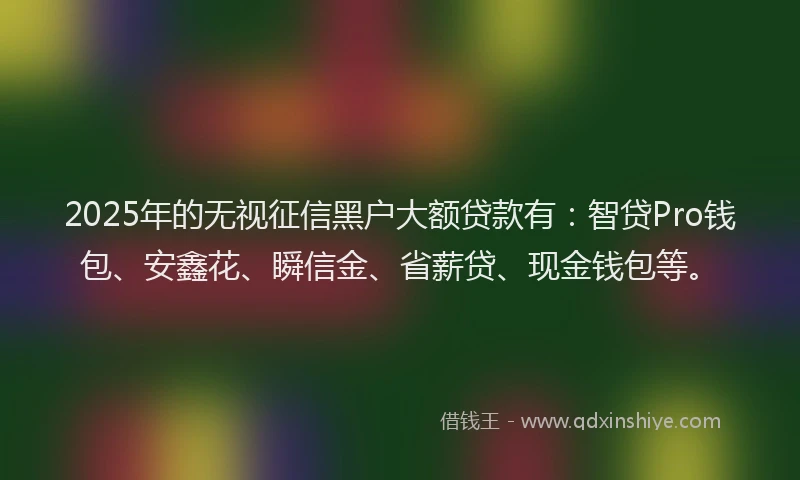 2025年的无视征信黑户大额贷款有：智贷Pro钱包、安鑫花、瞬信金、省薪贷、现金钱包等。