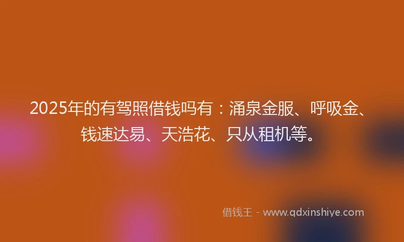 2025年的有驾照借钱吗有：涌泉金服、呼吸金、钱速达易、天浩花、只从租机等。