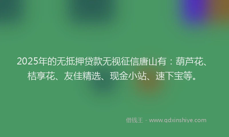 2025年的无抵押贷款无视征信唐山有：葫芦花、桔享花、友佳精选、现金小站、速下宝等。
