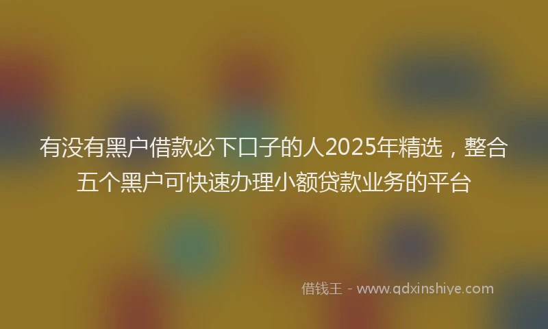 有没有黑户借款必下口子的人2025年精选，整合五个黑户可快速办理小额贷款业务的平台