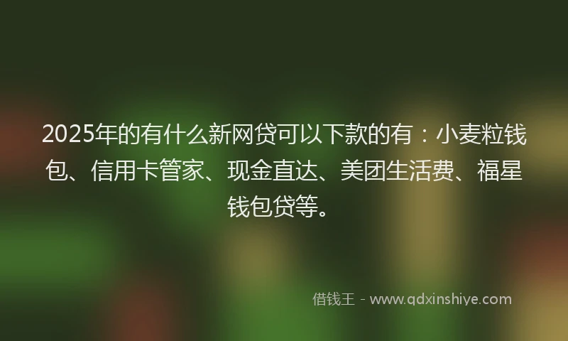 2025年的有什么新网贷可以下款的有：小麦粒钱包、信用卡管家、现金直达、美团生活费、福星钱包贷等。
