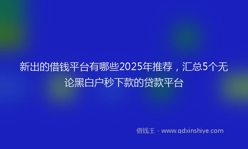 新出的借钱平台有哪些2025年推荐，汇总5个无论黑白户秒下款的贷款平台