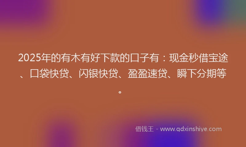 2025年的有木有好下款的口子有：现金秒借宝途、口袋快贷、闪银快贷、盈盈速贷、瞬下分期等。