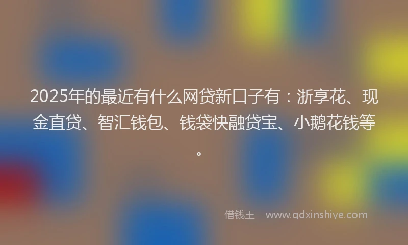 2025年的最近有什么网贷新口子有：浙享花、现金直贷、智汇钱包、钱袋快融贷宝、小鹅花钱等。