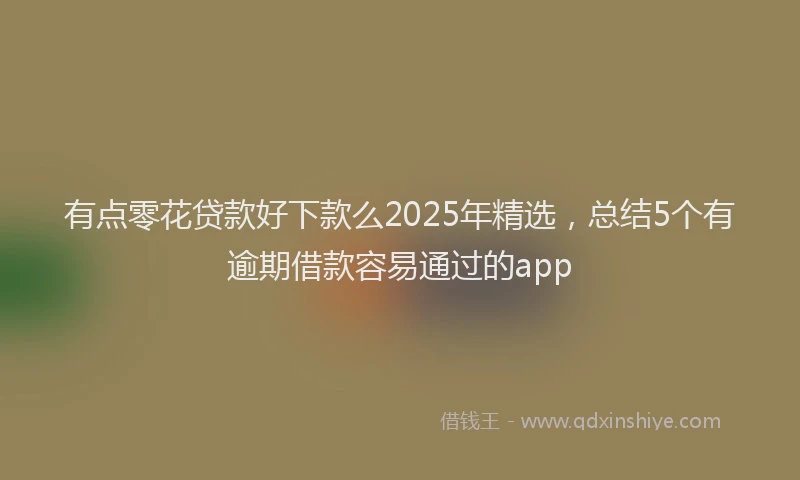 有点零花贷款好下款么2025年精选，总结5个有逾期借款容易通过的app